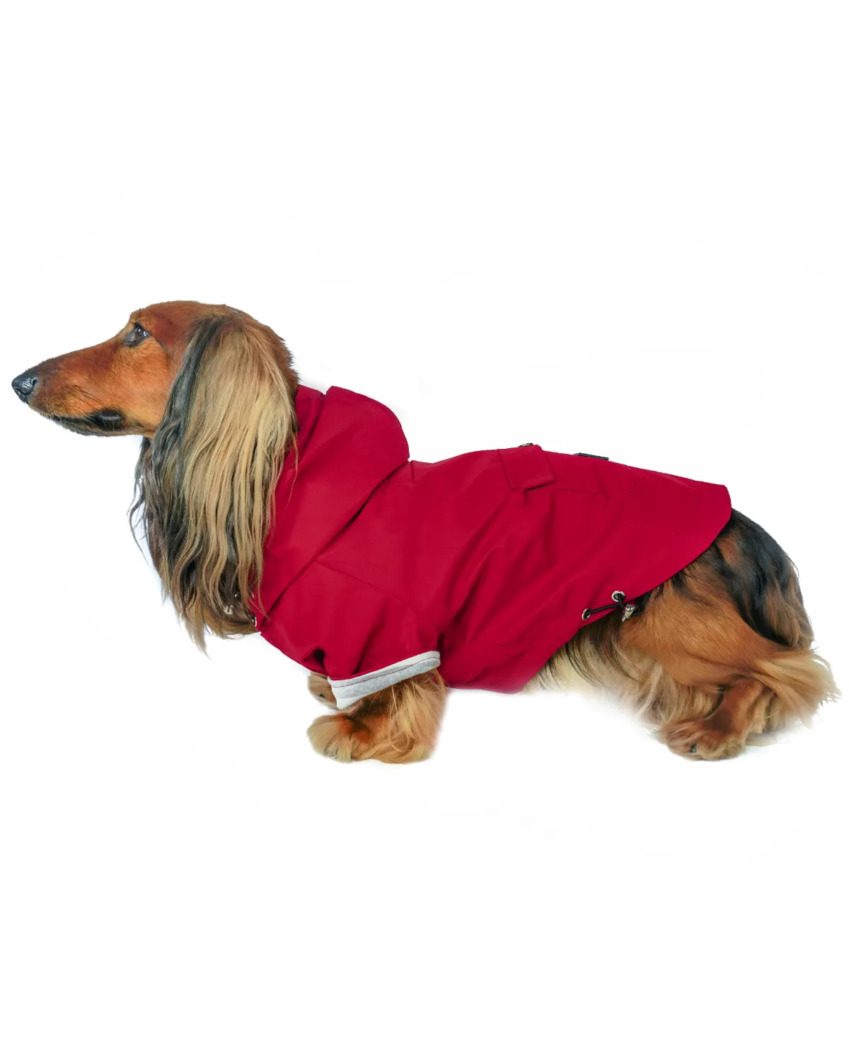 Highland Cold Weather Dog Jacket and Raincoat - Crimson Red